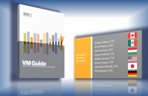 VM Guide: A Guide to the Value Methodology Body of Knowledge